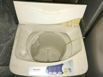 回家了 白菜價轉讓-臺州路橋區洗衣機
